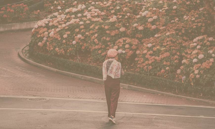 Hover Image